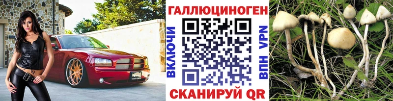 Псилоцибиновые грибы Psilocybine cubensis  купить закладку  Ядрин 